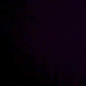 Meet your Posher, Nina